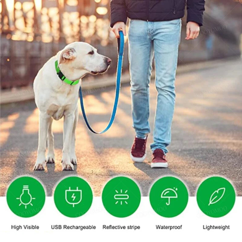 Pet Collar That Glows in The Dark