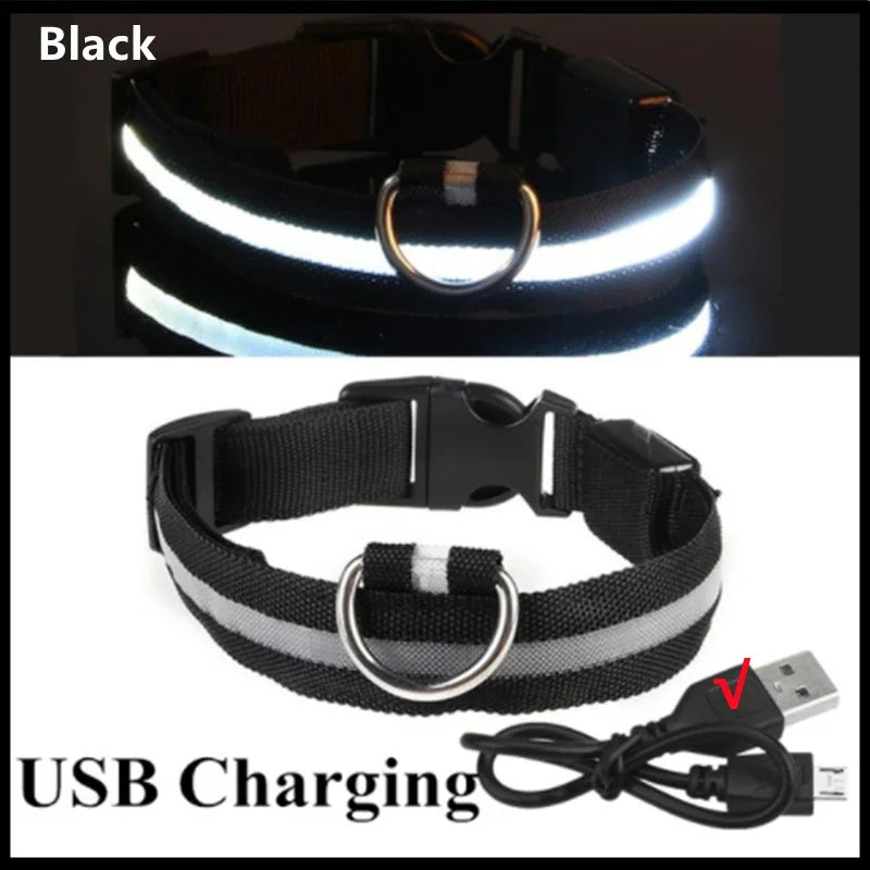 Pet Collar That Glows in The Dark
