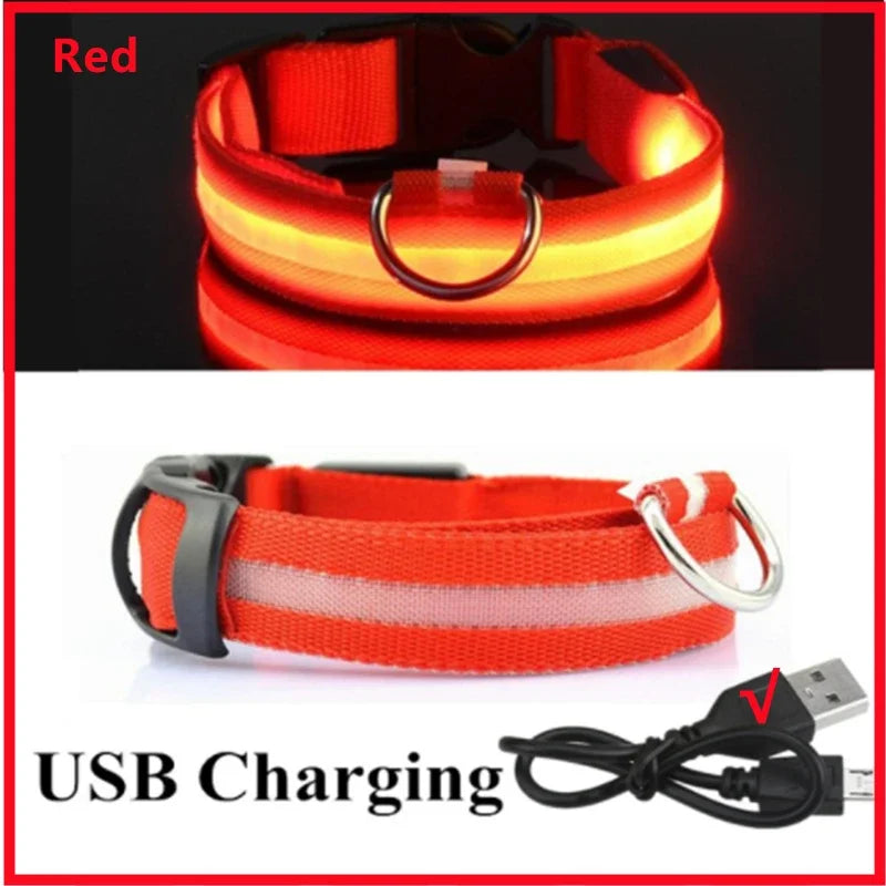 Pet Collar That Glows in The Dark