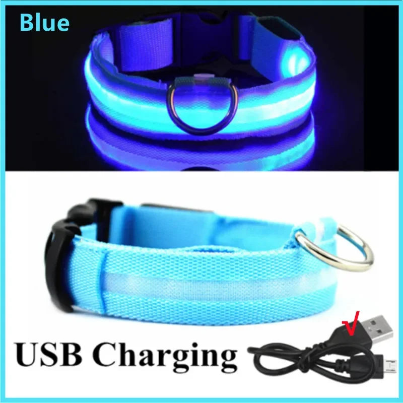 Pet Collar That Glows in The Dark