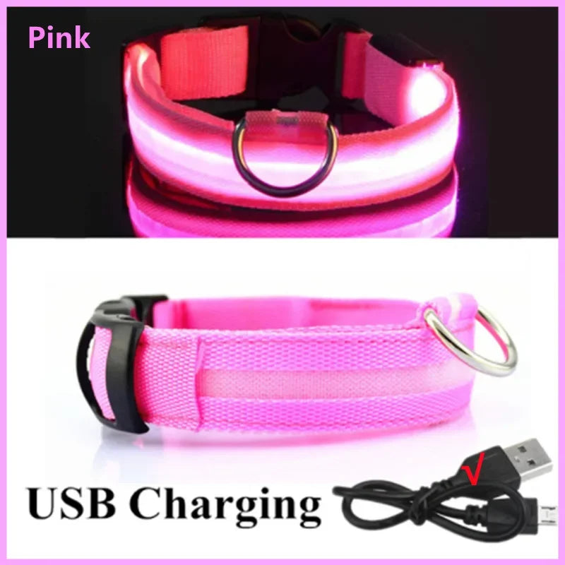 Pet Collar That Glows in The Dark