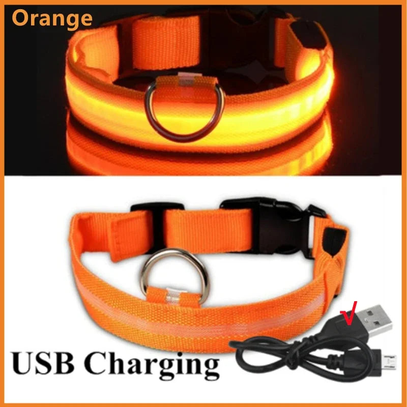 Pet Collar That Glows in The Dark