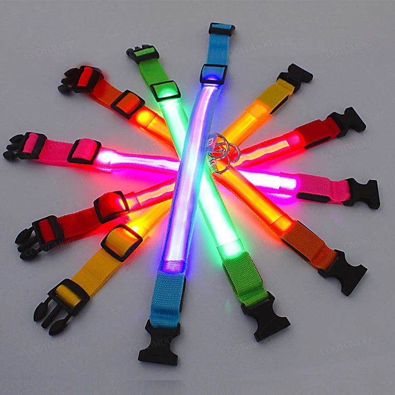 Pet Collar That Glows in The Dark
