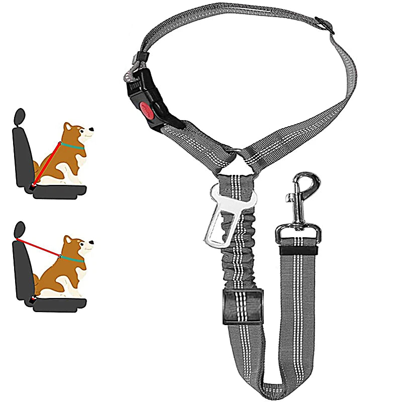 Dog Seat Belt