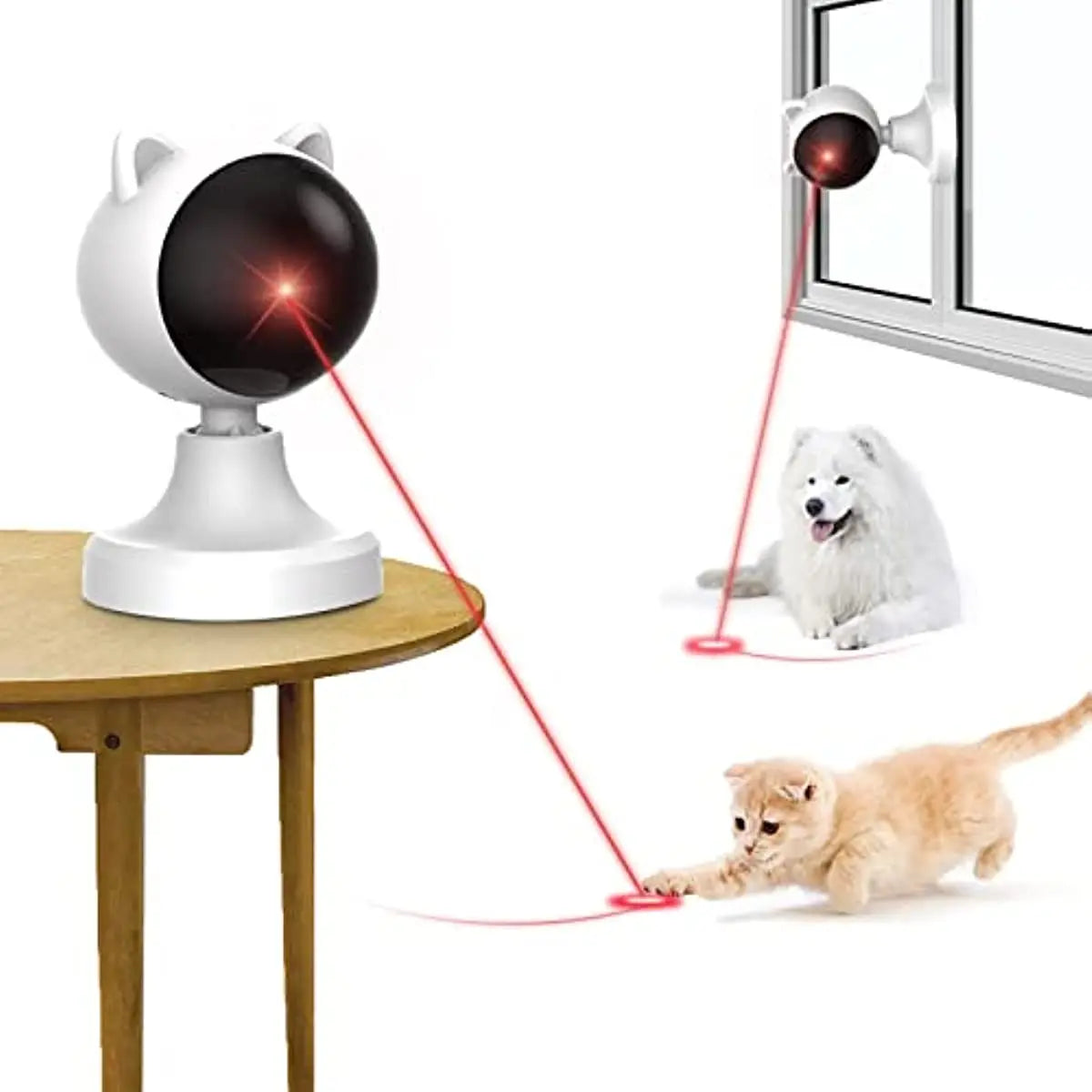 Automatic Laser for Cats