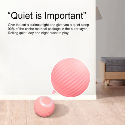 Interactive Pet Ball